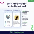 thumbnail image 3 of Koko Genetics Dog DNA Test | Starter Range | Breeds & Traits Reports | Fees Included, 3 of 10