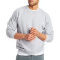thumbnail image 2 of Hanes Mens EcoSmart Fleece Sweatshirt 2-Pack, M, Light Steel, 2 of 7