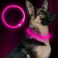 thumbnail image 1 of USB Rechargeable LED Dog Collar Glowing pet Dog Collar for Night Safety  Water Resistant Cuttable TPU Light Up Collars Fashion Light up Collar for Small Medium Large Dogs, 1 of 5