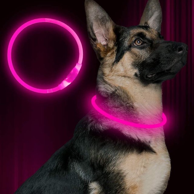 USB Rechargeable LED Dog Collar Glowing pet Dog Collar for Night Safety Water Resistant Cuttable TPU Light Up Collars Fashion Light up Collar for Small Medium Large Dogs
