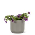 thumbnail image 2 of Classic Planter, 2 of 4