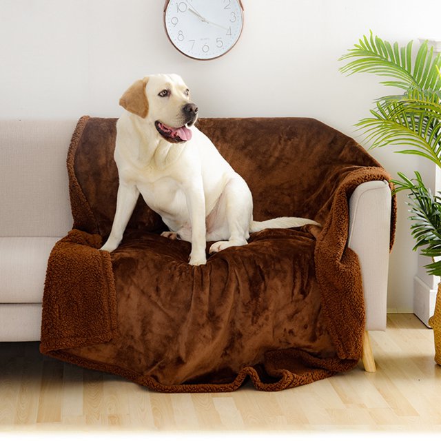 mmirethe Cloth Waterproof And Practical Pet Blanket For All Breeds Multiple Sizes Available Pet Blankets Coffee XS