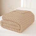 thumbnail image 3 of ZZkhGO Small Double Layer Raschel Blanket, Cozy Fleece Throw Blanket, Soft Warm Blanket for Sofa Travel, 3 of 7