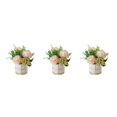thumbnail image 3 of relayinert Simulation Flower Set Low Maintenance Easy To Clean Fake Peony Silk Hydrangea Flower Silk Artificial Flowers With Vase Pinellia Champagne 3Set, 3 of 6