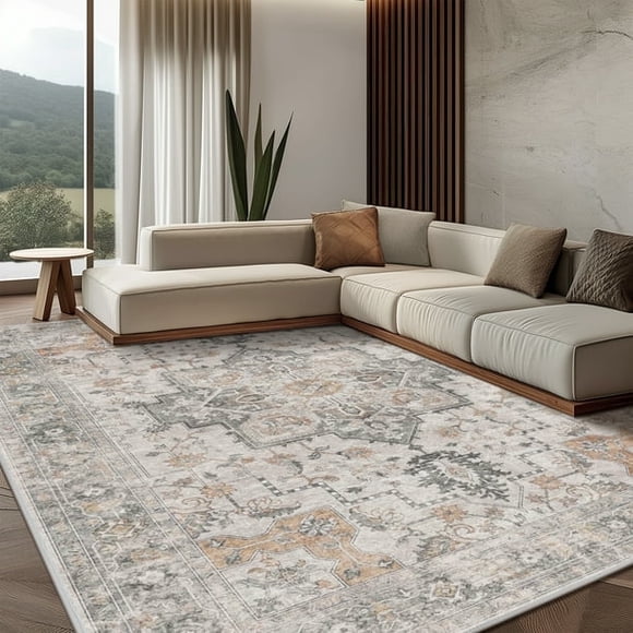 KUETH Tapis 90 X 150 cm pour Salon, Tapis d'Intérieur Ultramince Lavable à la Machine pour Chambre et Salle à Manger