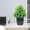 Green5, variant on Ohufall Simulation Green Decorative Fake Plants Indoor Home Furnishings Living Room TV Cabinet Potted Plants Artificial Potted Plants Room Decor