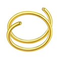 thumbnail image 1 of 1PC Nose Hoop Ring For Piercing Nose Hoop Nose Ring Hoop For Women Spiral Nose Hoop For Girls Nostril Piercing Jewelry Nose Studs Straight Nose Clips Jewelry Nose Rings Small Hoop Nose Ring Studs, 1 of 2