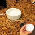 thumbnail image 3 of GROWTH TANK 2x Distributeur Anti-Renversement pour Tortue de Reptile Plateau Distributeur, 3 of 9