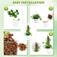 thumbnail image 1 of Becaristey Train Creeper Plants 6pcs Set Indoor Potted Plant Support Poles, 1 of 6