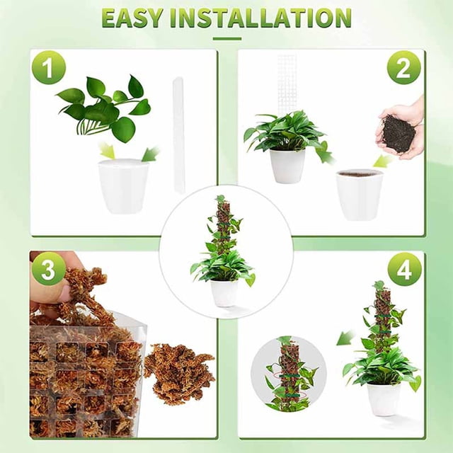Becaristey Train Creeper Plants 6pcs Set Indoor Potted Plant Support Poles