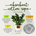 thumbnail image 3 of Self Watering Pots, Pot for Indoor Plants,Automatic Water-Absorbing White M, 3 of 6