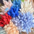 thumbnail image 4 of CAROOTU 50 Pcs Dried Flower Grass Decoration Photography Props for Home Store Wedding, 4 of 5