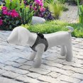 thumbnail image 4 of kurtrusly 1PC Mannequin PU Leather Standing Position for Display Toys White L Dog 1Set, 4 of 6