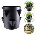 thumbnail image 5 of Strawberry Planters Outdoor Garden Planting Pots With 6 Side Grow Pockets, 5 of 5