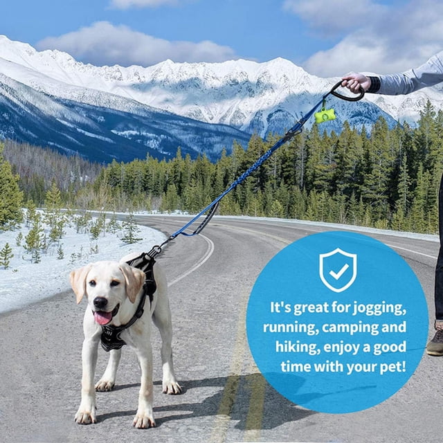 Laisse Élastique Robuste pour Chien de Grande Taille avec Conception Antidéflagrante et Contrôle de Longueur Ajustable