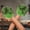 Green, variant on Halloween Costume Claw Gloves for Cosplay and Party Activities, Half-Finger Design with Long Hair Texture, Comfortable Fit for Adults and Kids, Perfect for Themed Events and Photo Props