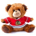 thumbnail image 1 of Chicago Blackhawks 7.5 inch Jersey Sweater Bear, 1 of 1