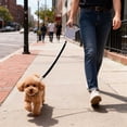 thumbnail image 3 of Heavy Duty Reflective Dog Leash for Medium and Large Breeds Featuring a Comfortable Padded Handle and Durable Metal Fastener, 3 of 4