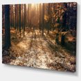 thumbnail image 2 of Road in Dark Wooded Forest - Modern Forest Canvas Art, 2 of 4