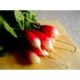 thumbnail image 2 of GSDWIUEW Radish 18 Days Seeds for Planting Around 200 Seeds, 2 of 8