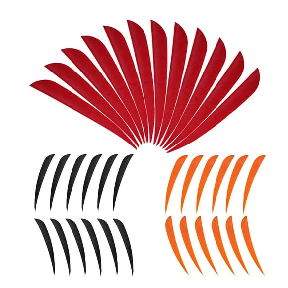 36 Pcs Arbre de Pales Pleine Grandeur Bricolage Fletch Feather Fletching C