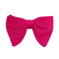 thumbnail image 1 of fastboy Stylish Velvet Bow Tie With Elastic Belt Stable Fixation Non-displacement Wide Application Halloween K, 1 of 6