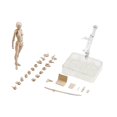 thumbnail image 2 of serony 15cm Figures Body Set with Drawing Joints Figures Body Action Figure Figure Display Stand Figure Action Holder for Bedroom Decor Female Apricot, 2 of 9