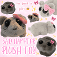 thumbnail image 1 of Sad Hampter Plush Toy - Built in Sound, 1 of 9