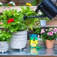 thumbnail image 2 of Miracle-Gro® Water Soluble Plant Food 20-20-20 680 g, 2 of 5