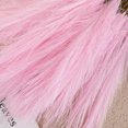 thumbnail image 4 of Wweixi 3piece Peaceful With Pampas Reed Decoration Downy And Durable Boho Decor Dark Pink 1Set, 4 of 6