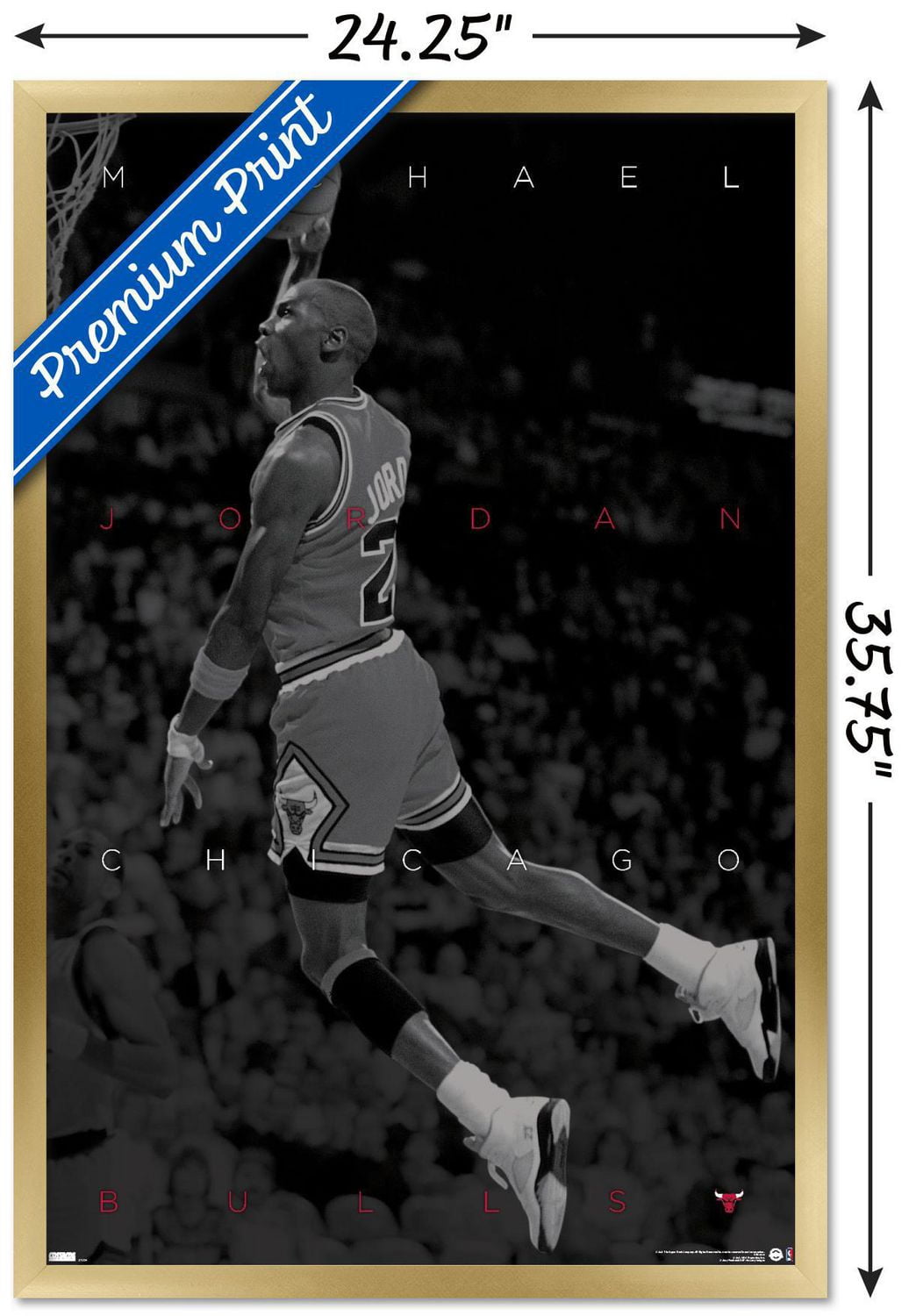 Michael Jordan - Black and White Wall Poster