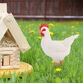 thumbnail image 3 of QIPOPIQ Hen Growth Cycle, Animal Growth Cycle Biological Model , Growth Stage Lifelike Hen Life Cycle Model Set for Kids Education Insect Themed Party Favors, 3 of 6