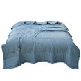thumbnail image 2 of Openpig Queen Quilt Bedding, Summer Quilt Ultra Soft Lightweight, Conditioned Quilt Washable Quilt Thin Color Quilt, 2 of 8
