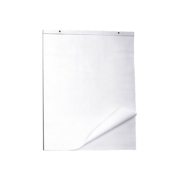 SKILCRAFT - Easel pad - - 50 sheets / 100 pages - white - plain