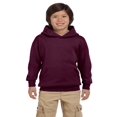 thumbnail image 1 of Hanes - Ecosmart Sweat à Capuche pour Jeunes, 1 of 1