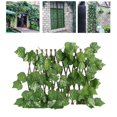 thumbnail image 1 of pitrice Retractable Garden Fence Privacy Screen Outdoor Grape Leaves, 1 of 9