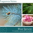 thumbnail image 4 of Heritage Collection by Colonial Candle Bougie en Pot Parfumée, 2 Mèches, 11 Oz, Blanc, 4 of 5
