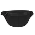 thumbnail image 1 of R70 Padded Stripe Hip Pack, 1 of 5