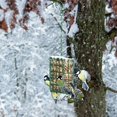 thumbnail image 4 of 1 Pc Hanging Suet Bird Feeder Metal Mesh Platform Outdoors Garden Yard Attracting Decor, 4 of 8