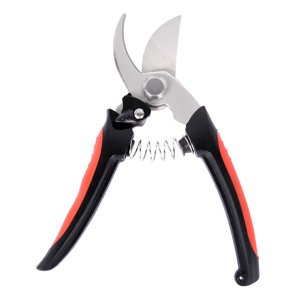 Sharp Pruning Shears Gardening Scissors Trim Branches Stems and Flowers