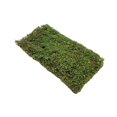 thumbnail image 4 of Milaget Grass Tufts Model DIY Simulation Grass Cluster DIY Scenery Landscape Railway S S, 4 of 9