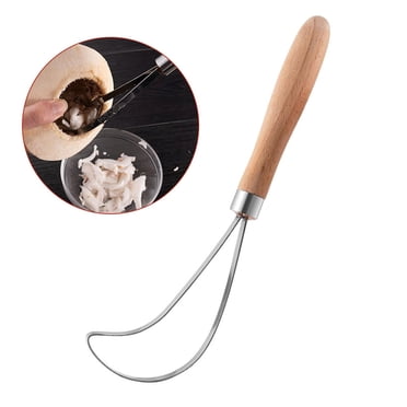 Coofit Trancheuse à Noix de Coco en Acier Inoxydable Grattoir pour Viande de Noix de Coco Râpe à Viande de Noix de Coco