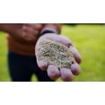 thumbnail image 3 of Scotts Turf Builder Quick + Thick Grass Seed Dense Shade, 3 of 7