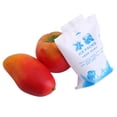 thumbnail image 5 of Garosa 10 Pcs Paquets de Glace Réutilisables Sacs de Refroidissement en Gel pour Aliments Légumes Vin Usage Médical Industriel, Paquet de Gel Réutilisable, Paquet de Glace, 5 of 5