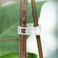 thumbnail image 3 of Clearance! beishanbush Fixing Clip 200Pcs Plastic Clips Plant Support Clips Tomato Clips Plant Clips Grafting Tools Make Plant Grow and Healthier（200Pcs） One Size Green, 3 of 8
