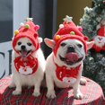 thumbnail image 4 of Costume de Noël pour Chien Petit Chien, Accessoire de Fête, 4 of 5