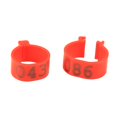 thumbnail image 1 of Spptty 100PCS/Bag 16MM 001-100 Numbered Plastic Poultry Chickens Ducks Goose Leg Bands Rings,Duck Leg Rings, Poultry Leg Bands, 1 of 3