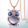 thumbnail image 1 of EGNMCR Colliers et Pendentifs Femmes Hibou Pendentif en Strass Collier Long Collier Collier, 1 of 2