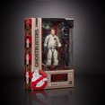 thumbnail image 2 of Ghostbusters Plasma Series, figurine de Ray Stantz, 2 of 5
