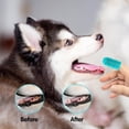 thumbnail image 4 of TIELUTT Kit de Brosse à Dents pour Chien Brosse à Dents pour Doigts pour Chiens Brosse à Dents pour Doigts pour Chien Accessoires pour Chien pour Chiots Accessoires Anglais Accessoires pour Élevage de Chiens Accessoires pour Toilettage Labradoodle Access, 4 of 5
